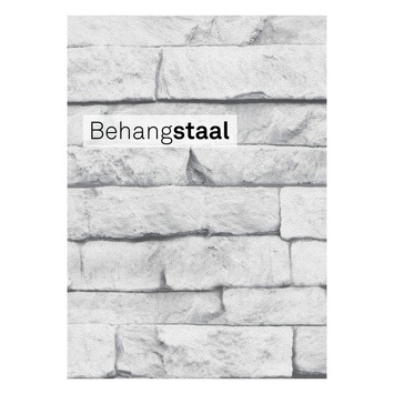 Behangstaal vliesbehang odysee wit (dessin 101343)