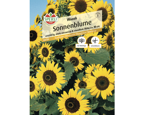 Zonnebloem Waooh Sperli Open-pollinated zaden Bloemenzaden