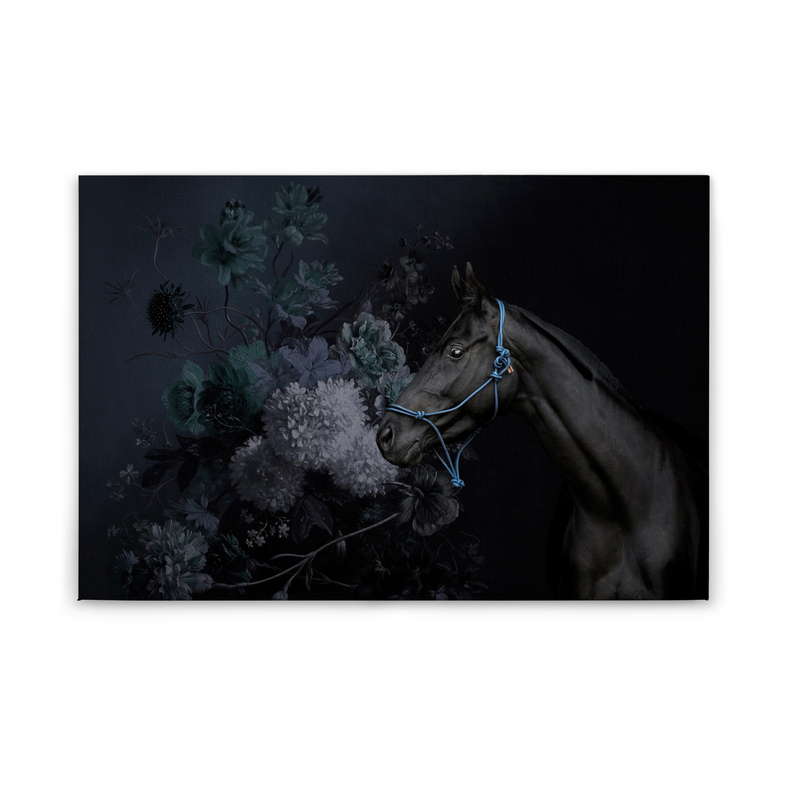Leinwandbild PFERD - schwarz-blau - 90x60 cm