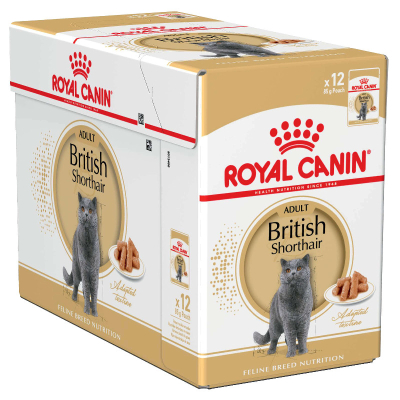 Royal Canin Katze British Shorthair 12x85g