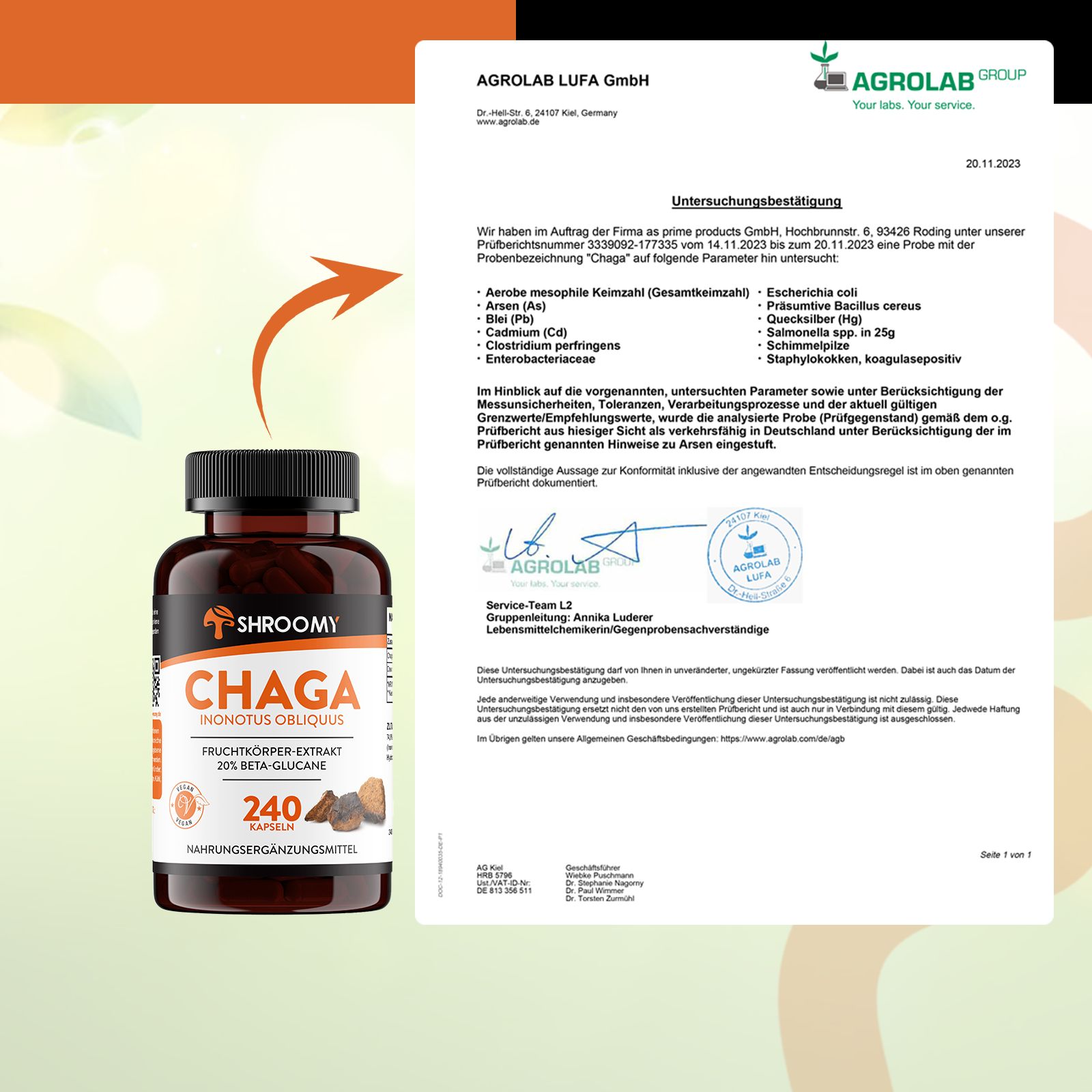 SHROOMY Chaga Extrakt Kapseln