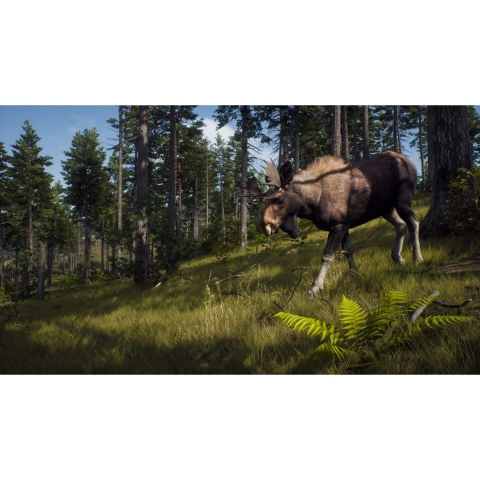 Way of the Hunter- Xbox Series X