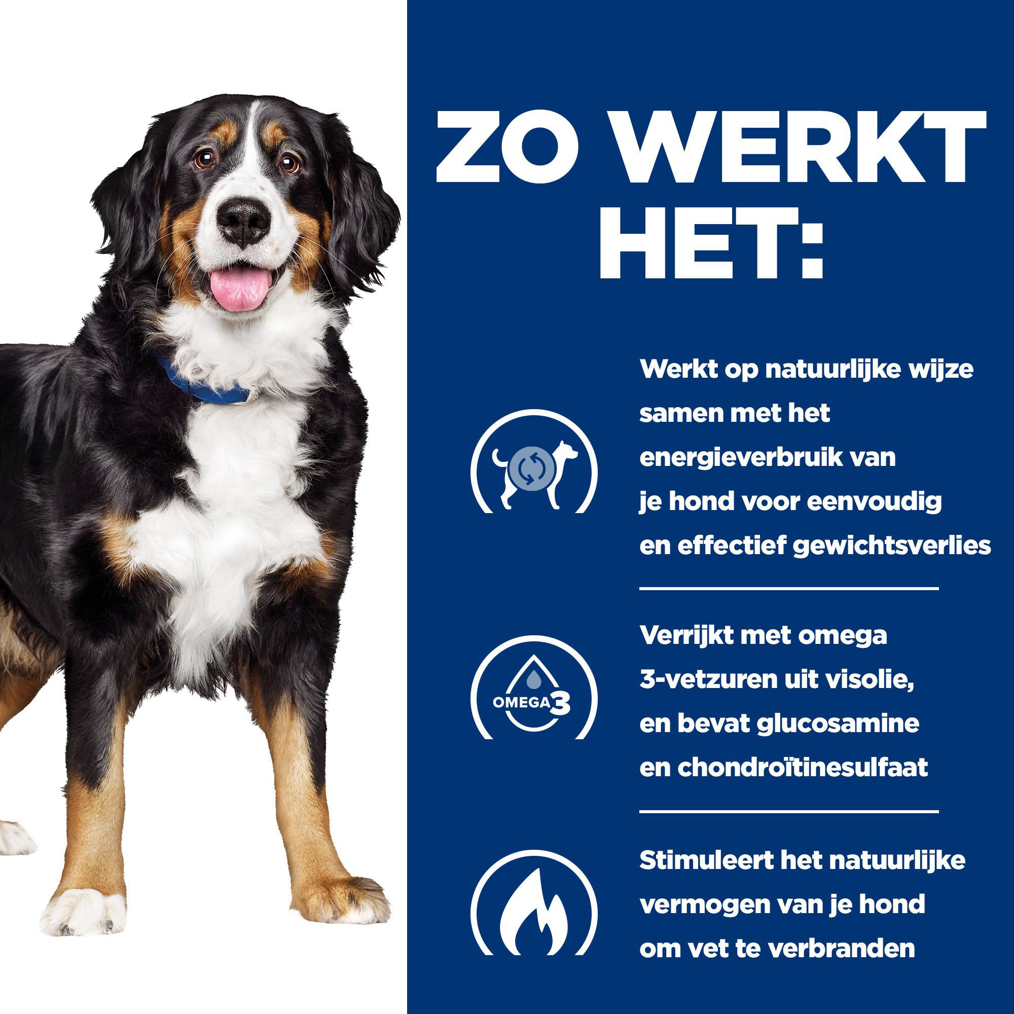 Hill's Metabolic + Mobility - Prescription Diet - Canine - Natvoer