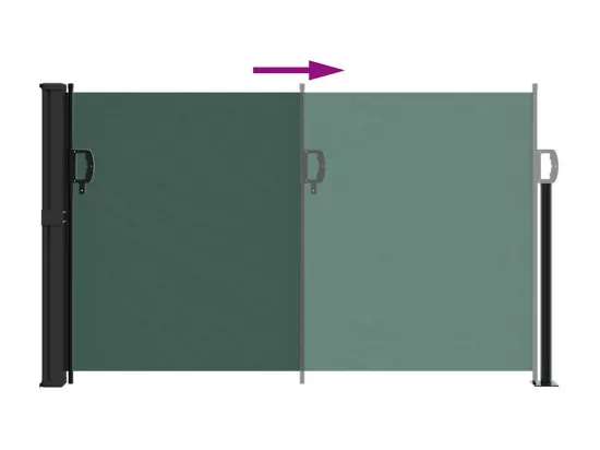 Auvent latéral rétractable vert foncé 117x300 cm