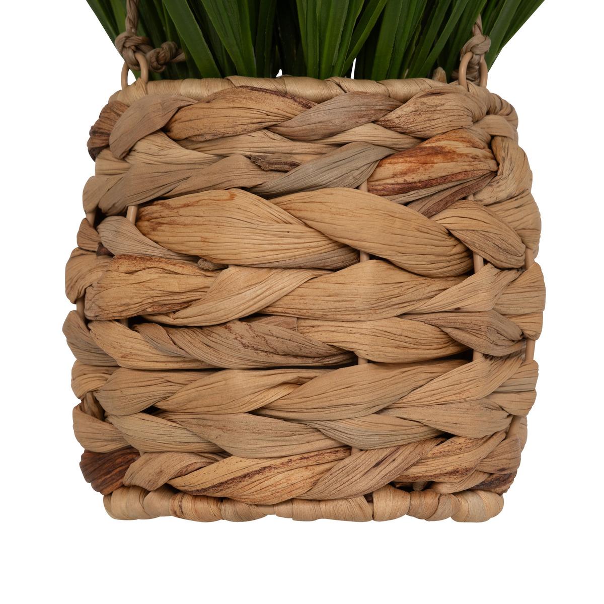 PLANTE POT SUSPENDU HERBE MODA H.27CM
