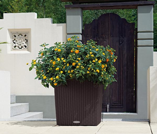 LECHUZA® Kunststoff-Topf Cube Cottage,