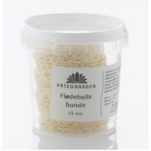 Urtegaarden Flødebollebunde 45 mm - 18 stk