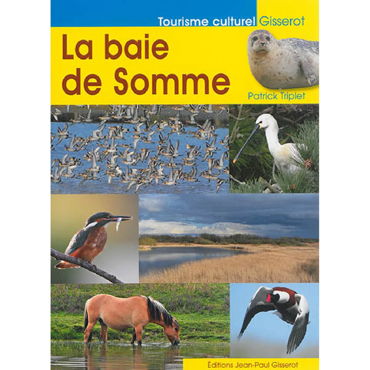 La baie de Somme · Occasion