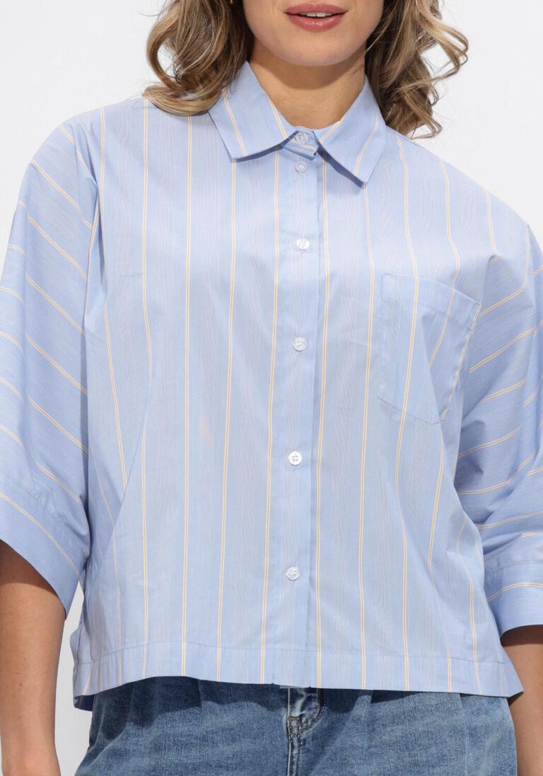 blauwe janice blouses carl blouse