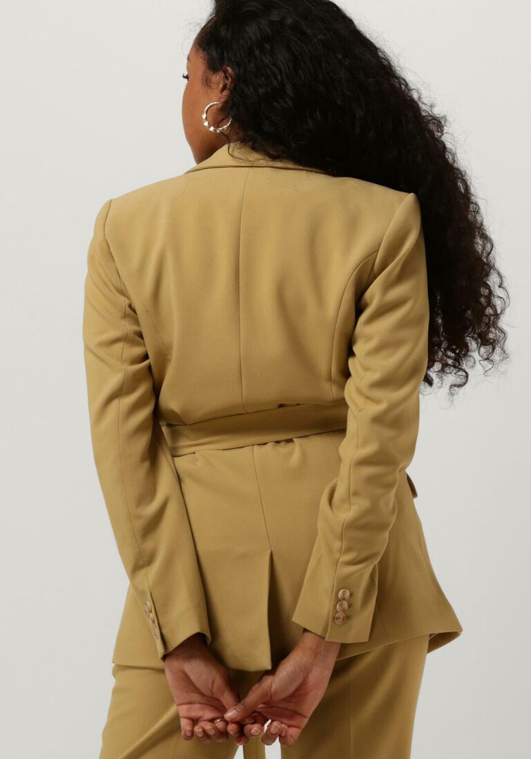 AAIKO olijf aaiko blazer perize vis 333