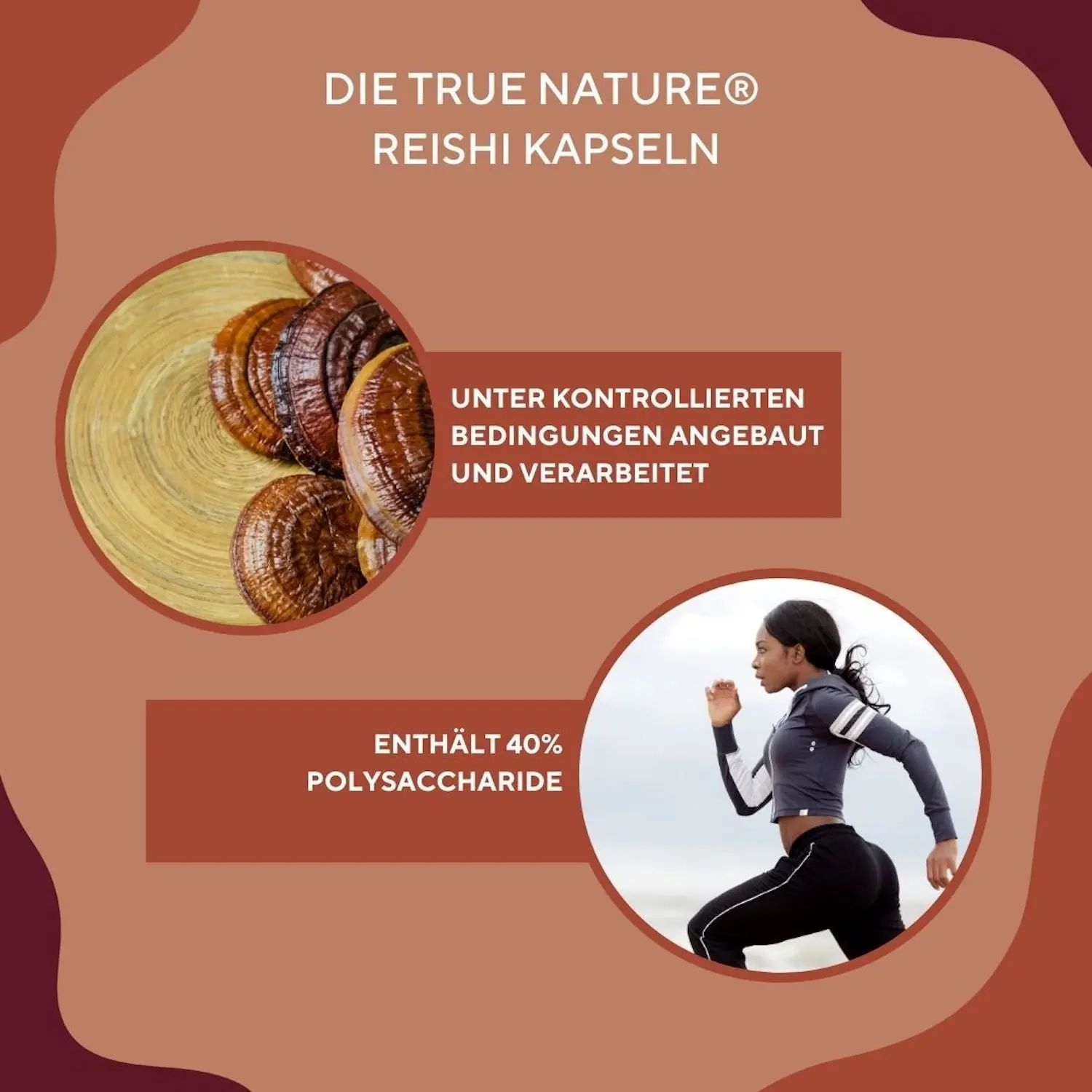 TRUE NATURE® Vitalpilz Power