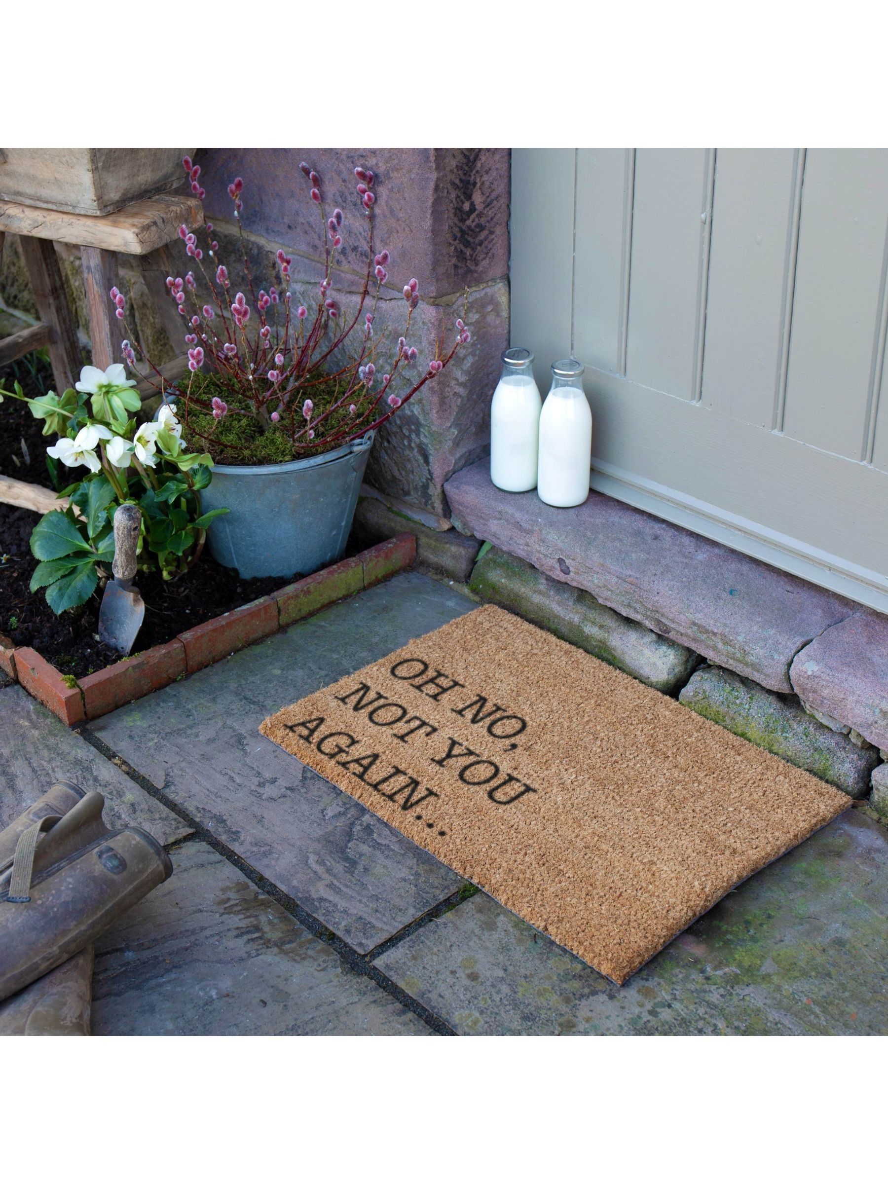 Artsy Mats Oh No Not You Again Doormat