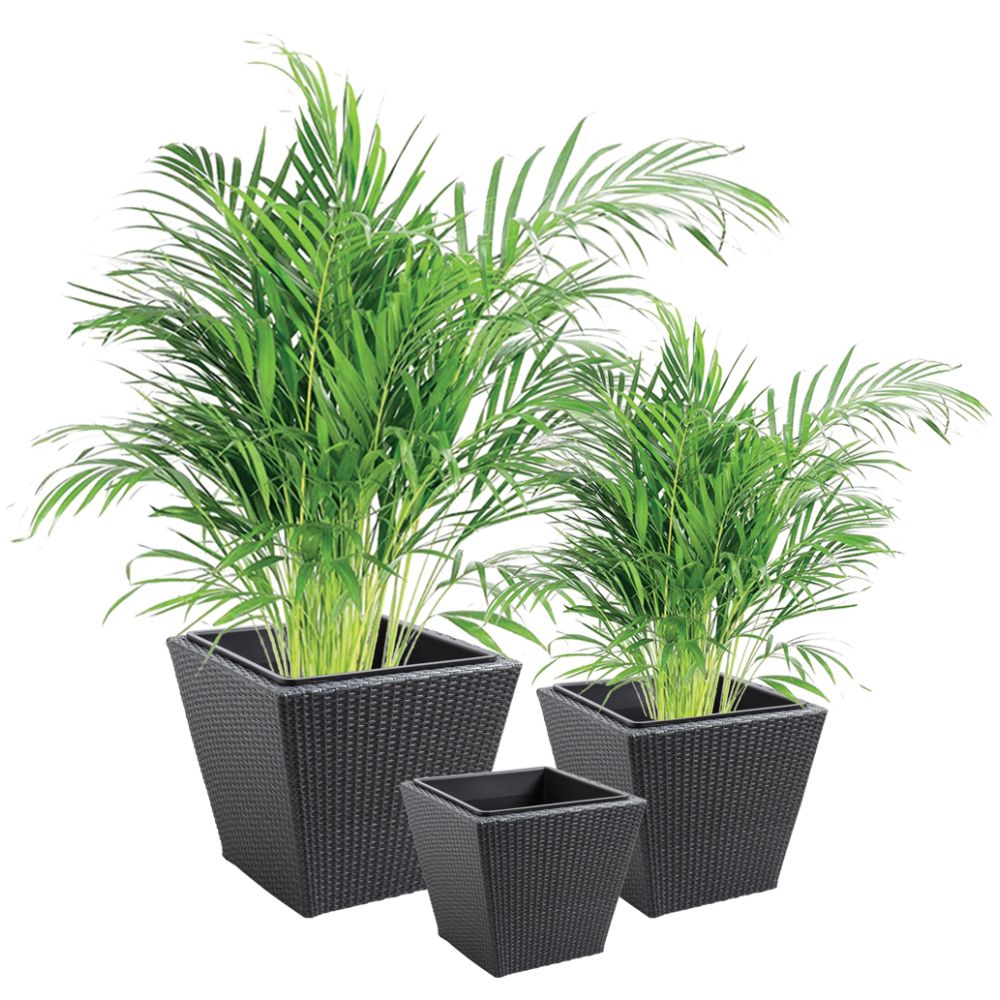 Cache-pots en résine tressée (lot de 3) carré