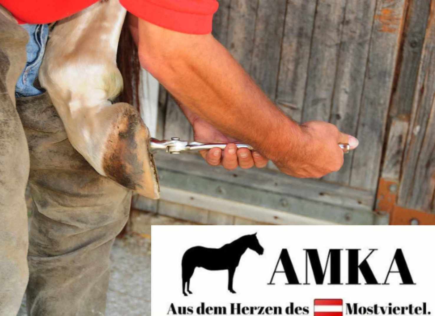 AMKA Hufbürste Classic mit