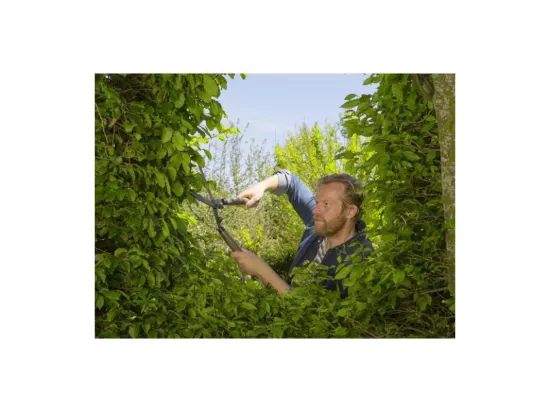 Cisaille a haies NatureCut – Lames ondulées – Revêtement anti-adhérence – Manches bois FSC – Garantie 25 ans