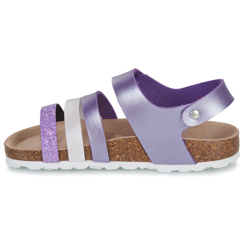 Citrouille et Compagnie - ZELLIE - Violet
