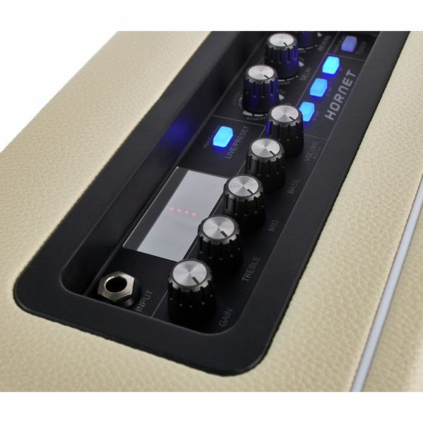 Mooer Hornet Modeling Combo WH