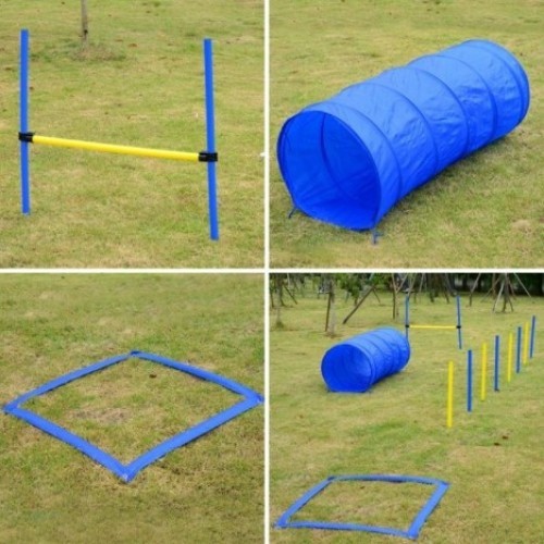 Conjunto de Treinamento de Agilidade para Cães PawHut, Azul