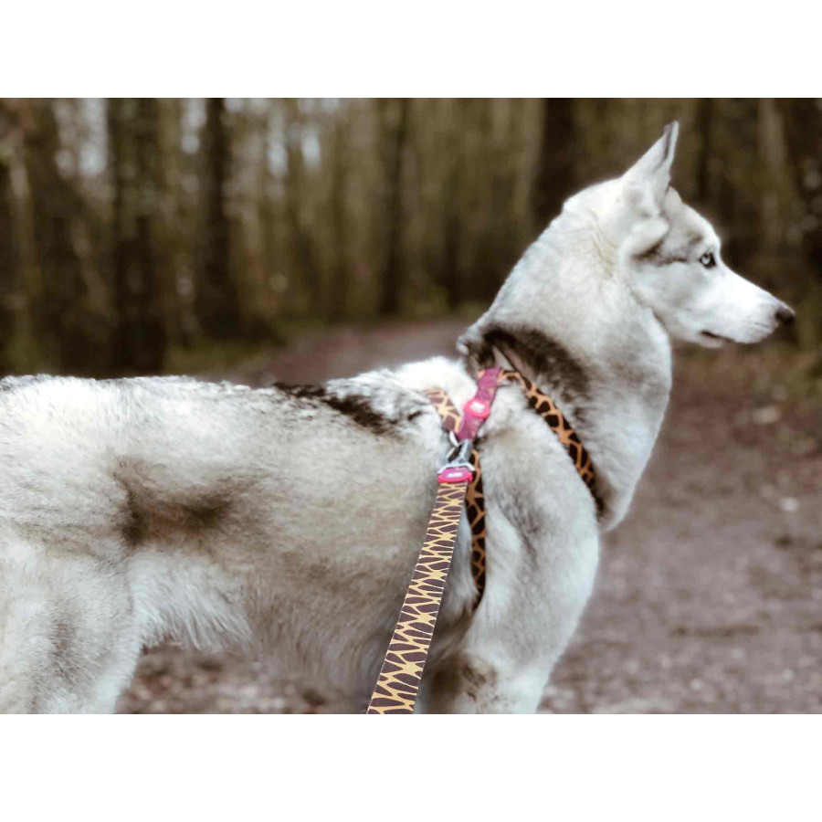Coleira para cães Dukier Savana Classic com estampa de girafa