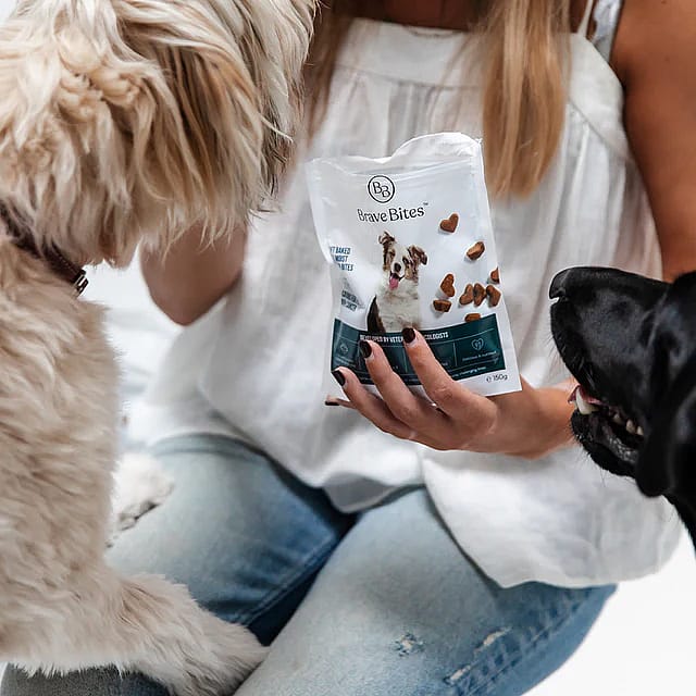 Brave Bites Koekjes Kanker Hond 150 gram | 15130