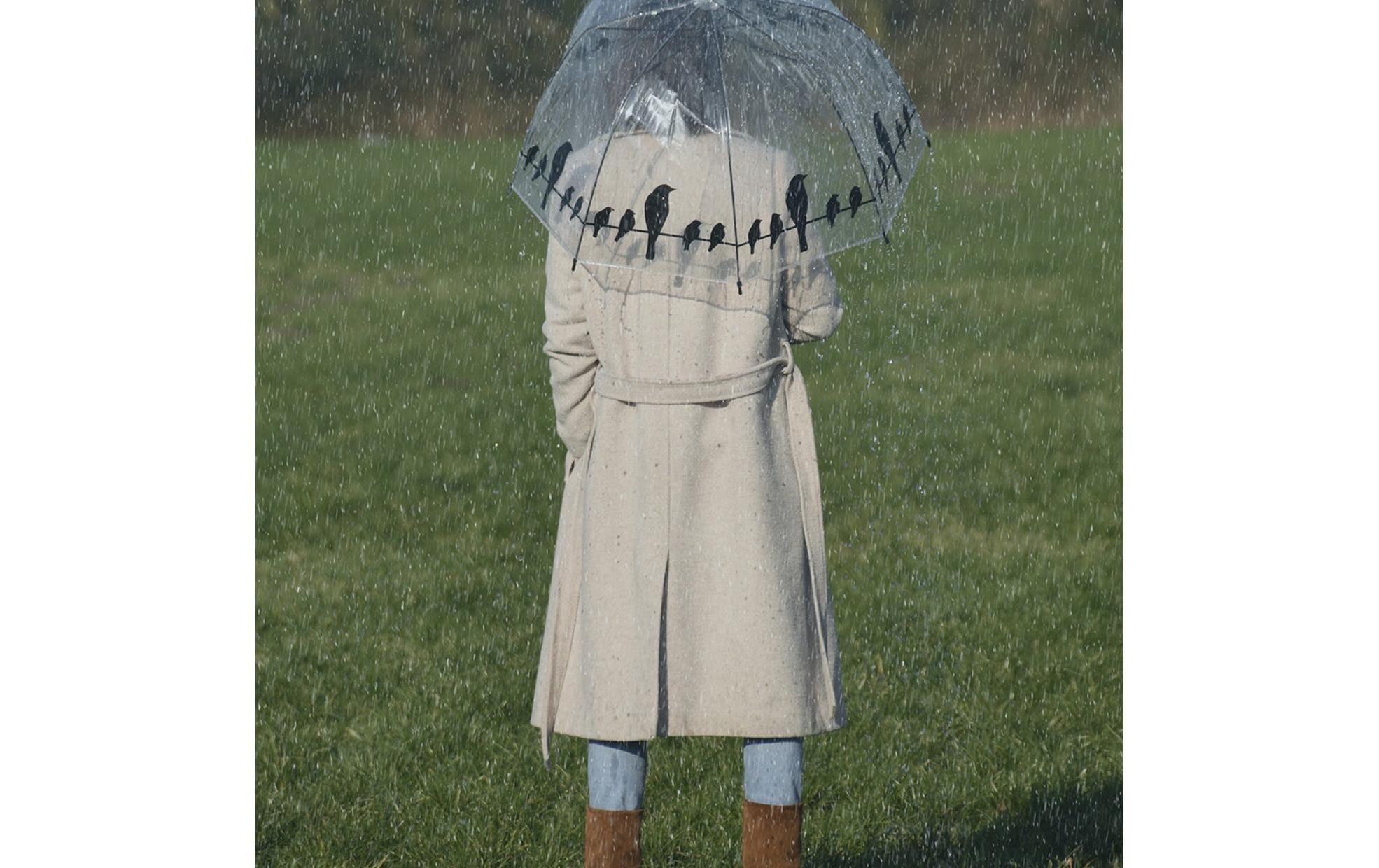 Schirm Vögel auf Draht Schwarz/TransparentTransparenter Regenschirm