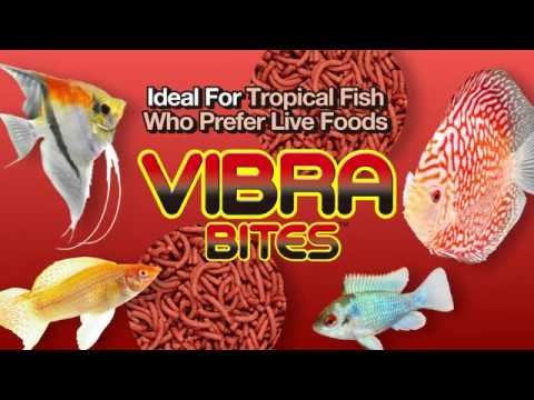 Hikari Vibra Bites 73 gram | Vissenvoer