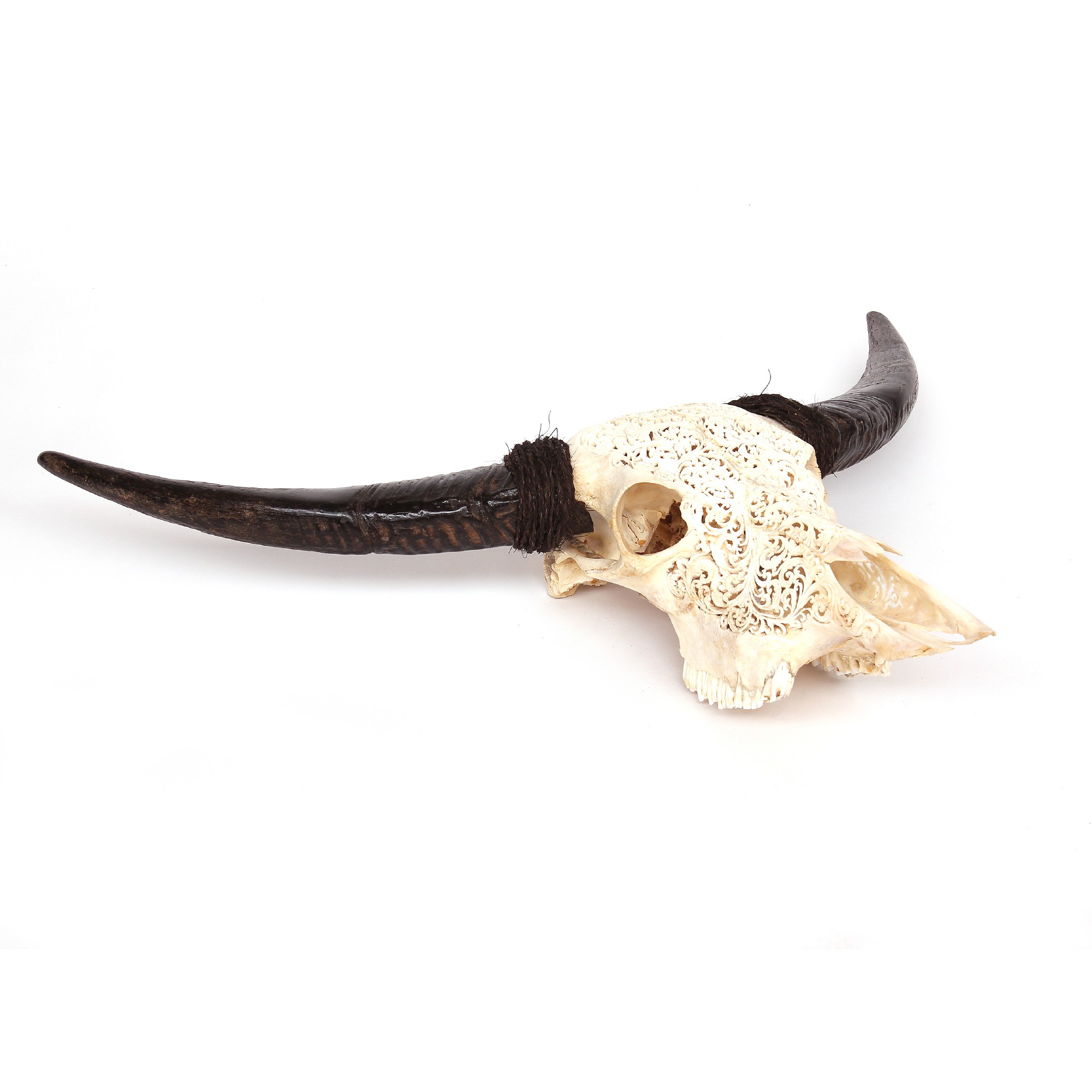 Büffelschädel 'Patra Padma', natur, B ca. 105 cm, H ca. 70 cm von fischer's lagerhaus