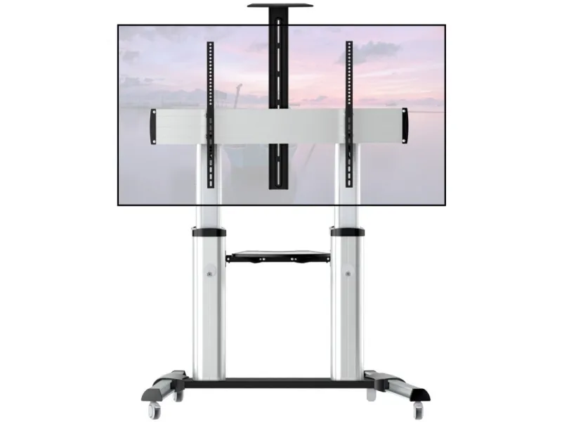 Techly ICA-TR24, Sølv, Sølv, 1 hylder, Sort, 100 kg, 2,54 m (100
