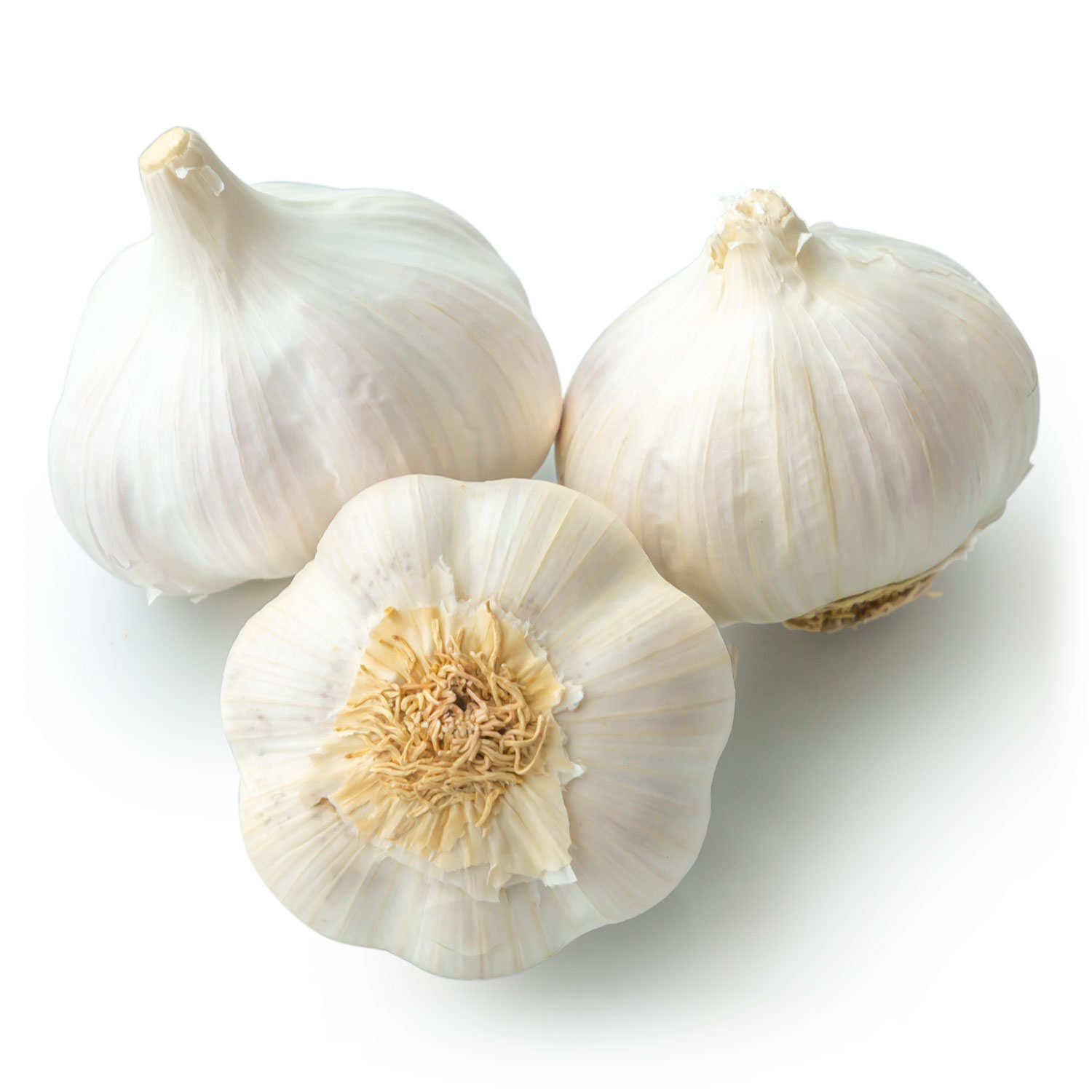 Ail blanc IGP de la Drôme