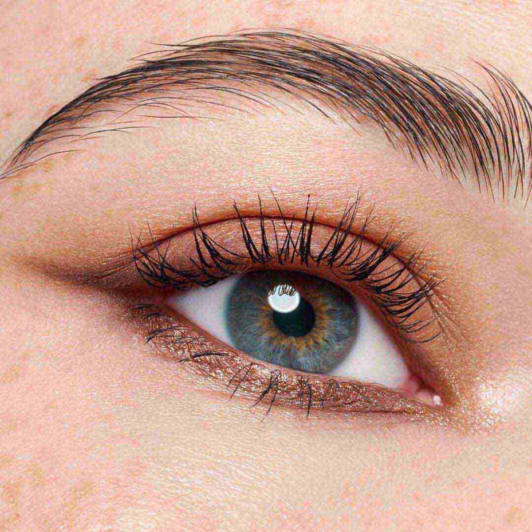 CATRICE  The Dark Cocoa Eyeshadow Palette