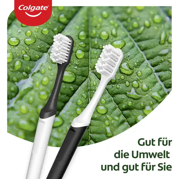 RecyClean Zahnbürste Mittel