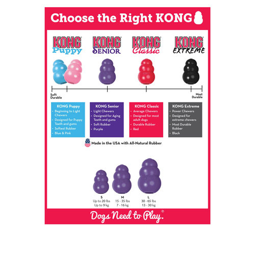 KONG Senior