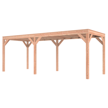 Overkapping Douglas 645x255cm