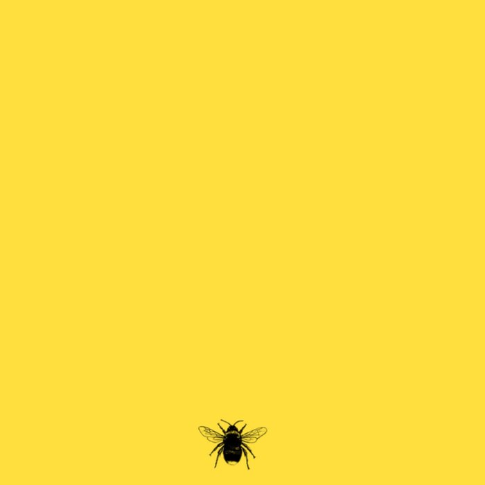 Greetz | Zomaarkaart | insecten