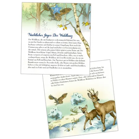 Coppenrath Verlag Die Tiere im Winterwald und ..., Zettel-Adventskalender