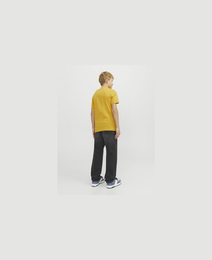 Jack & Jones JJICHRIS JJORIGINAL SQ 602 NOOS JNR Black denim