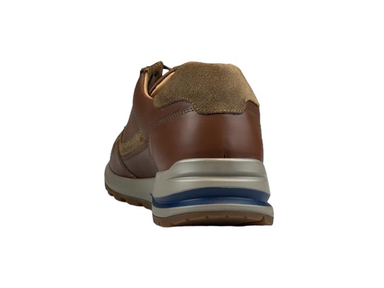 Mephisto Bradley Bruin