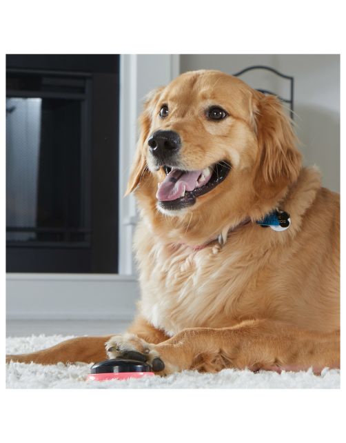 Hunger For Words Talking Pet Locaties - Hondenspeelgoed - Roze Zwart