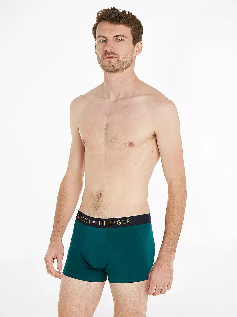 TOMMY HILFIGER Pants 5-Pkg blue blau
