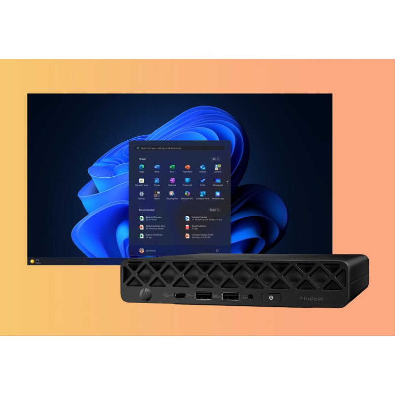 HP ProDesk 4 Mini G1i AI Intel Core Ultra 5 225T 24 Go DDR5-SDRAM 512 Go SSD Windows 11 Pro Mini PC AI PC Noir