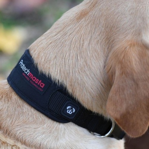 Coleira anti-distensão muscular para cães, preta