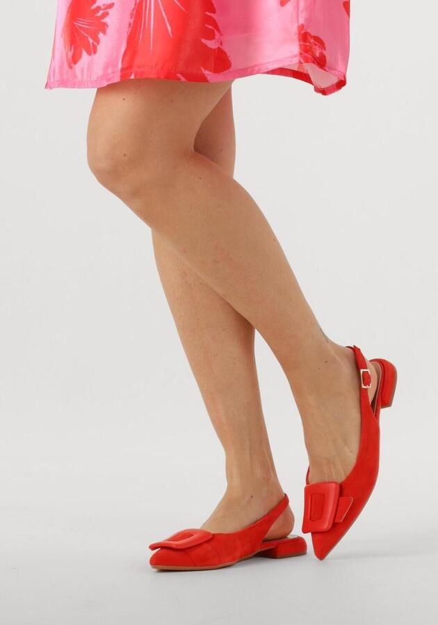 Notre-V 12241 Schoenen Dames Rood