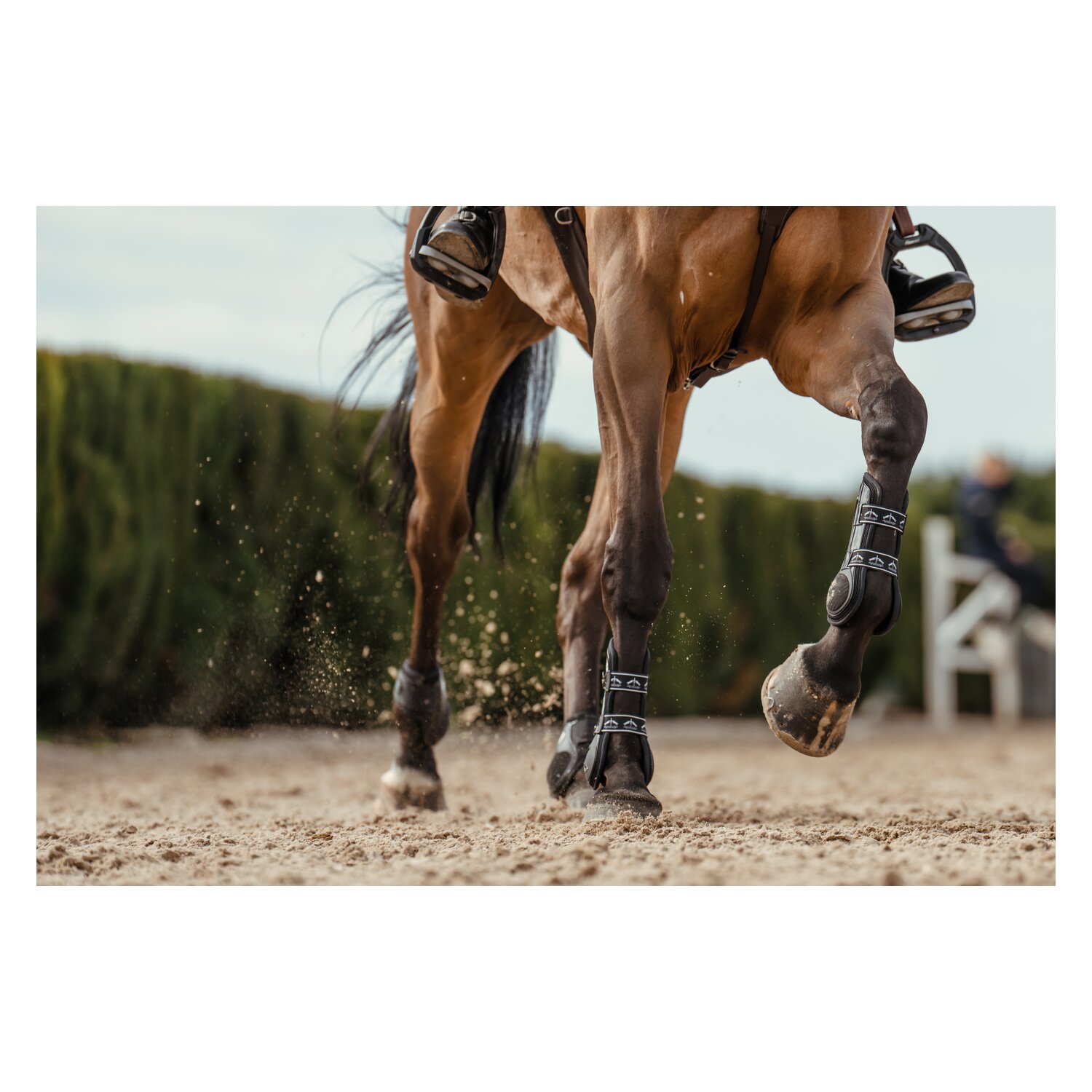 VEREDUS Springgamaschen Carbon Gel Vento, für die Vorderbeine  - black