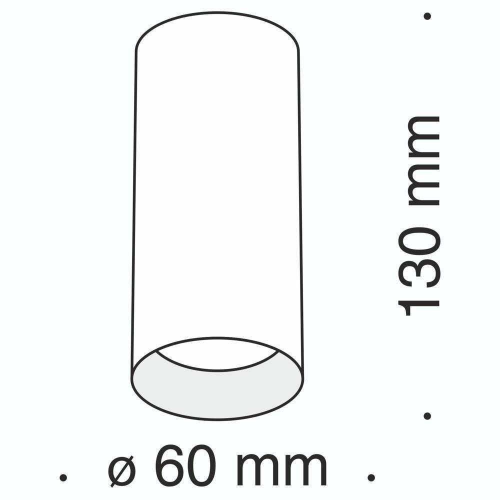 Focus plafondlamp in wit GU10