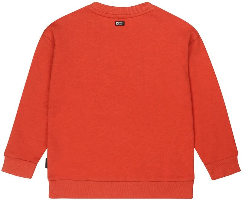 Tumble 'N Dry jongens sweater - Brique