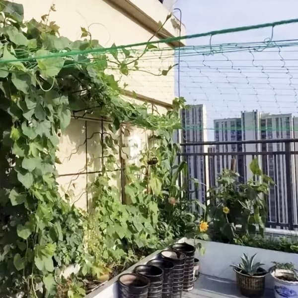Plantenett / Støttenett for Planter - 2x20m
