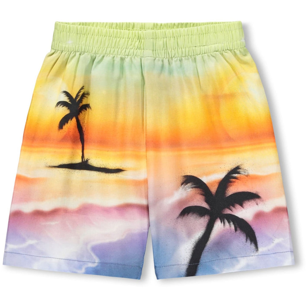Køb Molo Airbrush Beach Solar Shorts