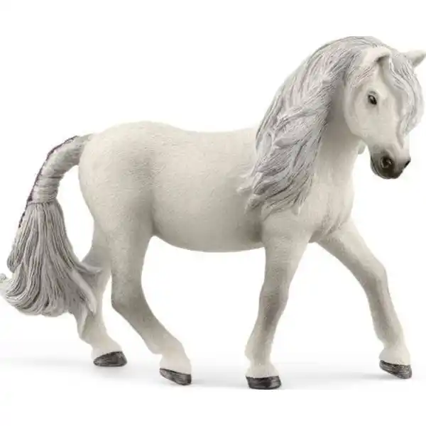 13942 Islandpony Stute