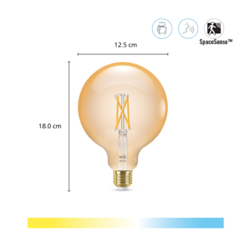 WiZ Connected LED globe E27 50W filament gold koel tot warmwit licht dimbaar