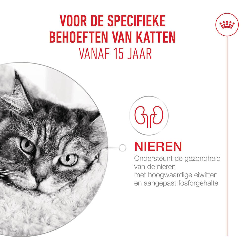 Royal Canin Ageing 15  - Kattenvoer - 4 Kilogram